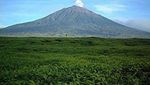 Pendakian Penuh Tantangan di Gunung Pesagi, Lampung
