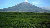 Gunung Pesagi (sumber:hot-breaking-)