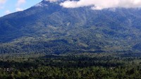 (sumber: asparaliwa.blogspot.com)