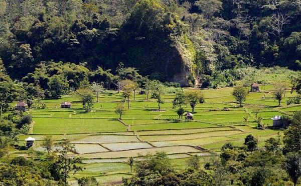 Pendakian Penuh Tantangan di Gunung Pesagi, Lampung