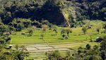 Pendakian Penuh Tantangan di Gunung Pesagi, Lampung