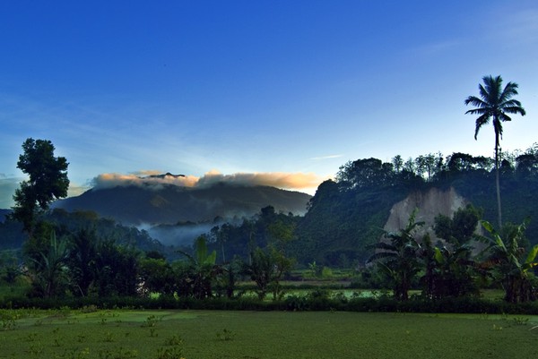 Pendakian Penuh Tantangan di Gunung Pesagi, Lampung