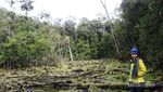 Pengalaman Ekstrem Mendaki Gunung Tertinggi di Sulawesi Tenggara