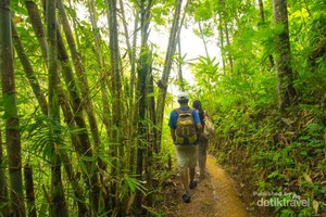 Pengalaman Menarik di Curug Gandu, Kulon Progo