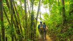 Pengalaman Menarik di Curug Gandu, Kulon Progo