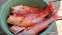 Kekayaan Hasil Laut Desa Komodo