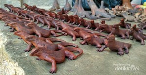 Pengalaman Menegangkan Bersama Komodo