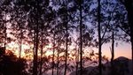 Pengalaman Pertama Mendaki, Bukit Pengasingan yang Luar Biasa Indah
