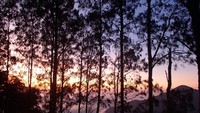 Mengejar Sunrise