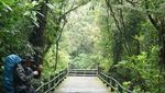 Pengalaman Pertama Mendaki Gunung Pangrango via Cibodas