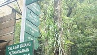 Selamat datang di Pendakian menembus batas