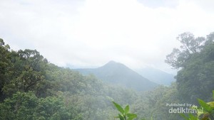 Pengalaman Pertama Mendaki Gunung Pangrango via Cibodas