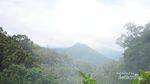 Pengalaman Pertama Mendaki Gunung Pangrango via Cibodas