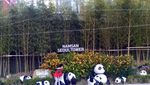 Pengalaman Pertama Wisata ke Negeri Ginseng