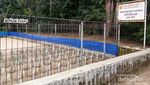 Pengalaman Tak Terlupakan, Melepas Tukik di Ujung Genteng