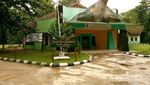 Pengalaman Tak Terlupakan, Melepas Tukik di Ujung Genteng