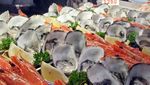Penggemar Seafood Wajib ke Pasar di Sydney Ini