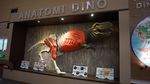 Penghuni Bumi Masa Prasejarah Ada di Dino Park