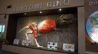 Penjelasan anatomi dari tubuh T-Rex mulai dari otak, mata, gigi dan sebagainya.