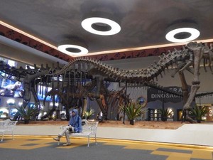 Penghuni Bumi Masa Prasejarah Ada di Dino Park
