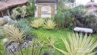 Taman mini menuju kamar dan restoran
