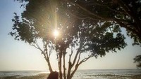 Salah satu spot untuk menikmati pantai tanpa kebisingan
