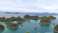 Piayinemo