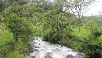 sungai yang jernih dengan arus deras