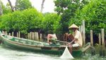 Percaya Nggak? Ada Hutan Mangrove Cantik di Bekasi
