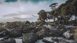 Percaya Nggak? Lampung Punya Pantai Seindah Ini