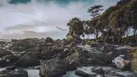 THE ROCKS