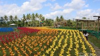 Inilah taman yang dipenuhi dengan kitiran aneka warna . Indah bukan ?