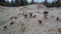 Tanah Kaolin