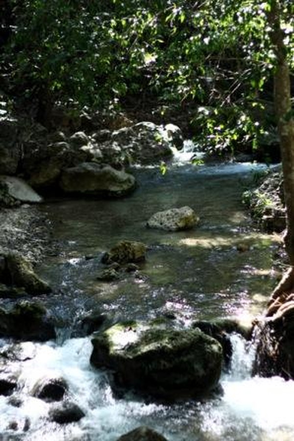 Perjalanan Asyik Menuju Air Terjun 7 Tingkat Oehala, NTT