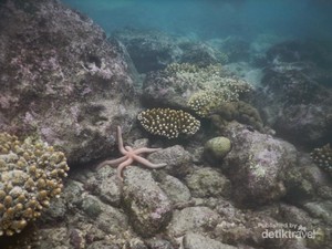 Perjalanan di Banda Aceh yang Membekas di Hati