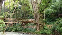 Jembatan bambu yang harus dilalui dengan hati-hati