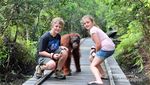 Perjalanan ke Tanjung Puting, Bertemu Orangutan