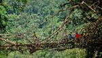 Perjalanan Memukau ke Suku Baduy Dalam