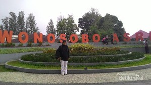 Perjalanan Tak Biasa di Wonosobo