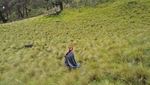 Perjalanan Tak Kenal Lelah Menuju Puncak Gunung Lawu