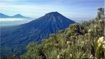 Perjuangan Berat Berdiri di Puncak Gunung Sumbing & Sindoro