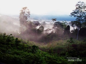 Perjuangan Berat ke Derawan Lewat Jalur Darat