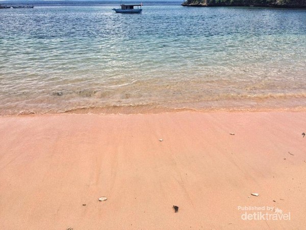 Perjuangan Berlibur ke Pantai Pink Lombok
