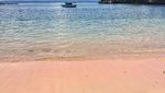 Perjuangan Berlibur ke Pantai Pink Lombok