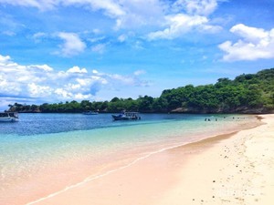 Perjuangan Berlibur ke Pantai Pink Lombok