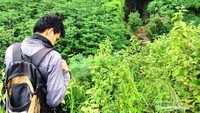Curug Kidang di seberang jurang