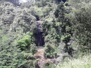 Perjuangan Mencapai Curug Kidang