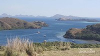 Pemandangan dari puncak Pulau Rinca