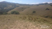 Padang savana di jalur trekking di Pulau Rinca