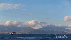 Perjuangan Mencari Komodo di Alam Liar